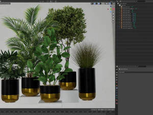 Plants collection 540 3D Model