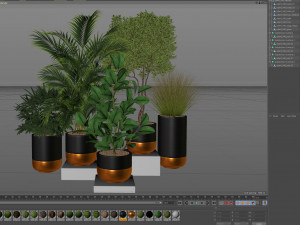 Plants collection 540 3D Model