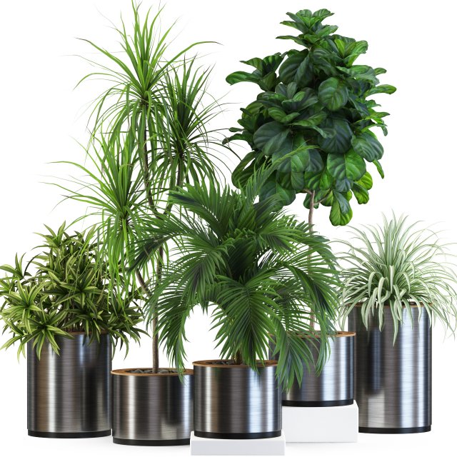 Plants collection 541 Model 3D .c4d .max .obj .3ds .fbx .stl .blend 