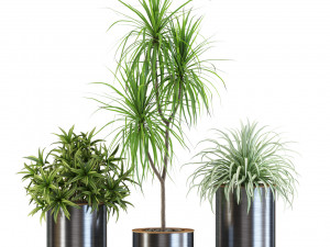 Plants collection 541 Model 3D
