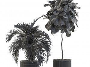Plants collection 541 Model 3D