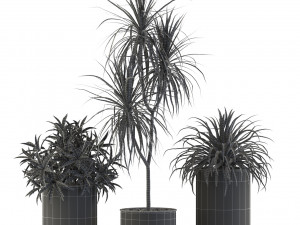 Plants collection 541 Model 3D