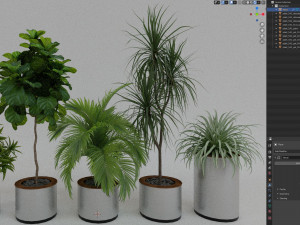 Plants collection 541 Model 3D
