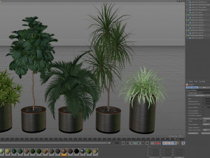 Plants collection 541 Model 3D