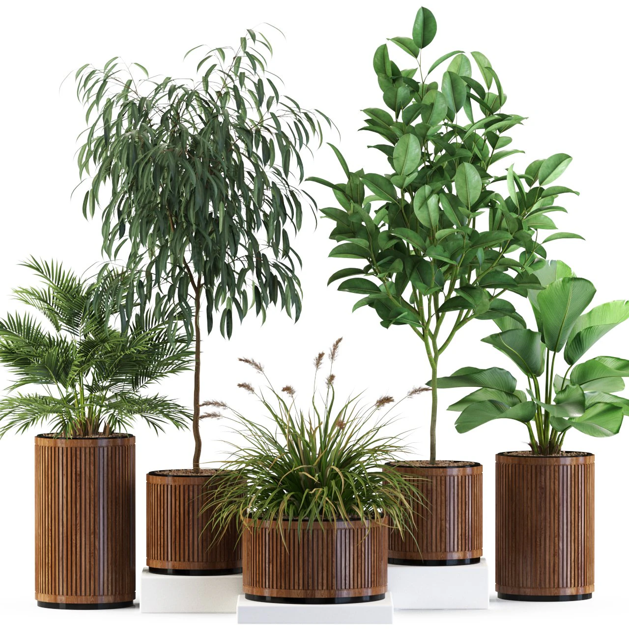Plants collection 542 3D Model .c4d .max .obj .3ds .fbx .stl .blend 