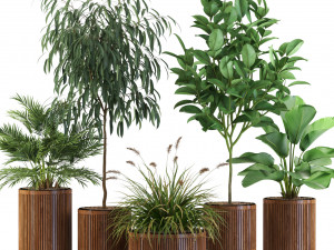 Plants collection 542 Modelo 3D