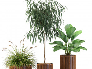 Plants collection 542 Model 3D