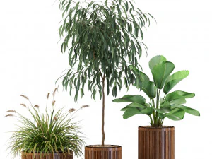 Plants collection 542 3D Model