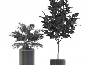 Plants collection 542 Model 3D
