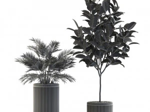 Plants collection 542 3D Model