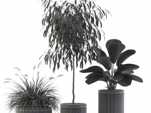 Plants collection 542 Model 3D