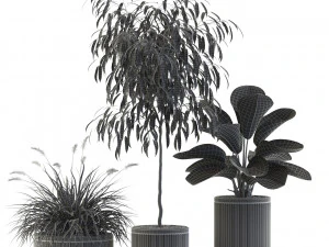 Plants collection 542 3D Model