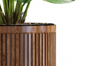 Plants collection 542 Model 3D