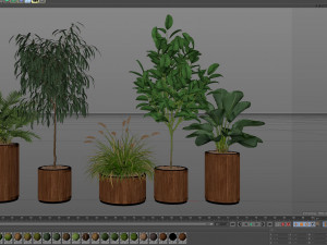 Plants collection 542 Model 3D