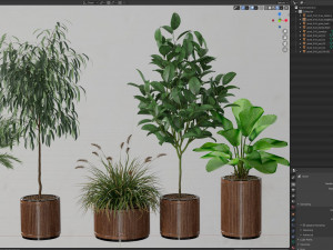 Plants collection 542 Model 3D