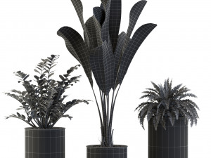 Plants collection 543 3D Модель