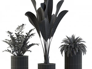 Plants collection 543 3D Model