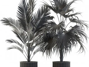 Plants collection 543 3D Model