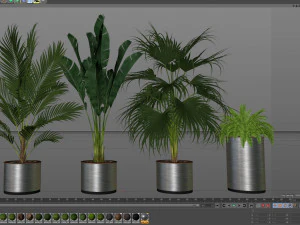 Plants collection 543 3D Model