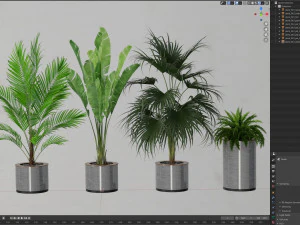 Plants collection 543 3D Model
