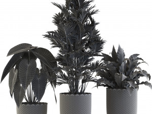 Plants collection 544 3Dモデル