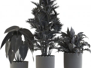 Plants collection 544 3D Model