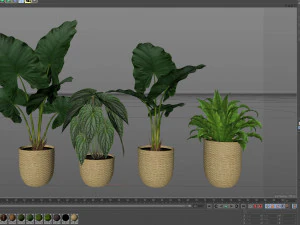 Plants collection 544 3D Model