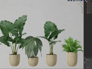 Plants collection 544 3D Model