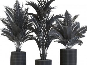 Plants collection 545 Modèle 3D