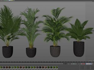 Plants collection 545 Modèle 3D