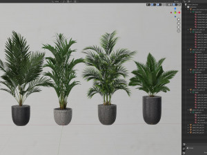 Plants collection 545 Modèle 3D