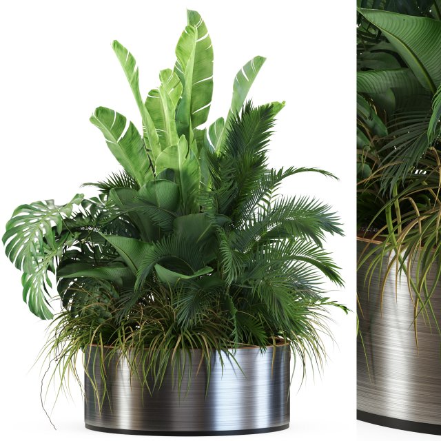 Plants collection 546 3D 模型 .c4d .max .obj .3ds .fbx .stl .blend 