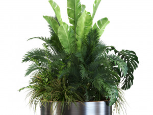 Plants collection 546 3D 模型