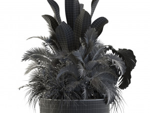 Plants collection 546 3D 模型