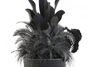 Plants collection 546 3D Model
