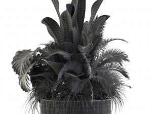 Plants collection 546 3D 模型