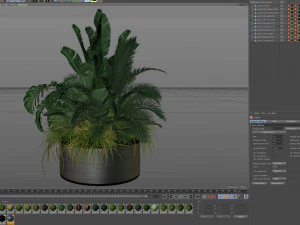 Plants collection 546 3D Model