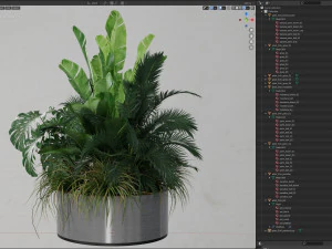 Plants collection 546 3D Model