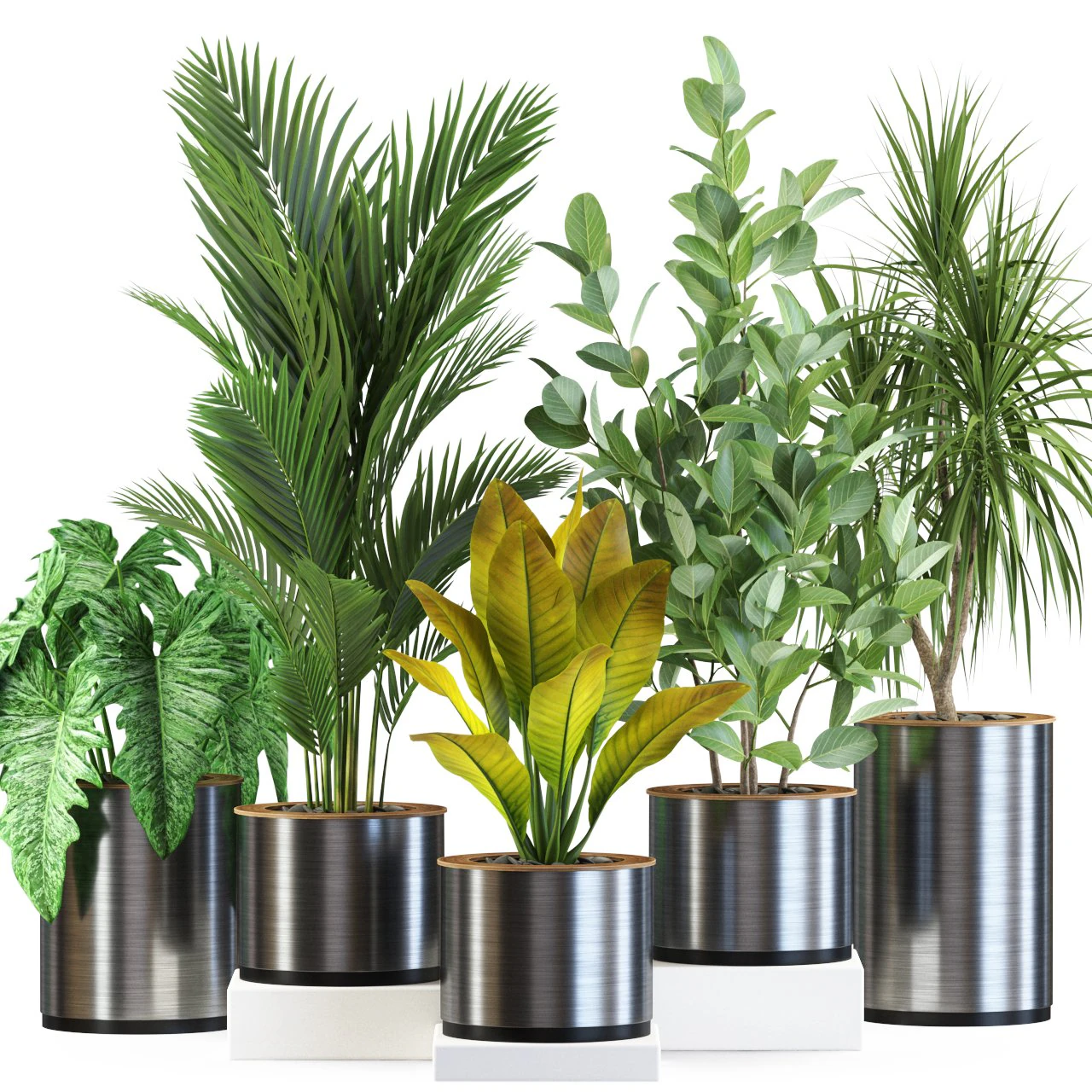 Plants collection 547 3D Model .c4d .max .obj .3ds .fbx .stl .blend