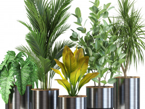Plants collection 547 Model 3D