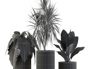 Plants collection 547 Modello 3D