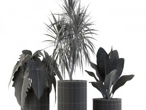 Plants collection 547 3D Model