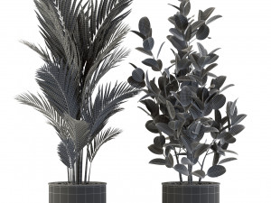 Plants collection 547 Modello 3D