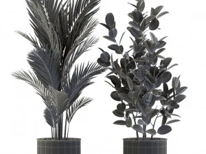 Plants collection 547 3D Model