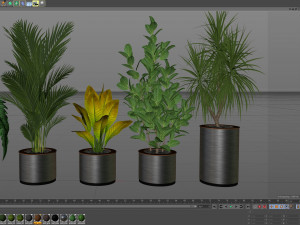 Plants collection 547 Modello 3D