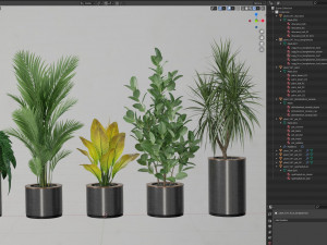 Plants collection 547 Modello 3D