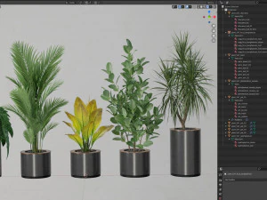 Plants collection 547 3D Model