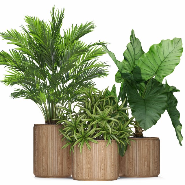 Plants collection 549 Model 3D .c4d .max .obj .3ds .fbx .stl .blend 