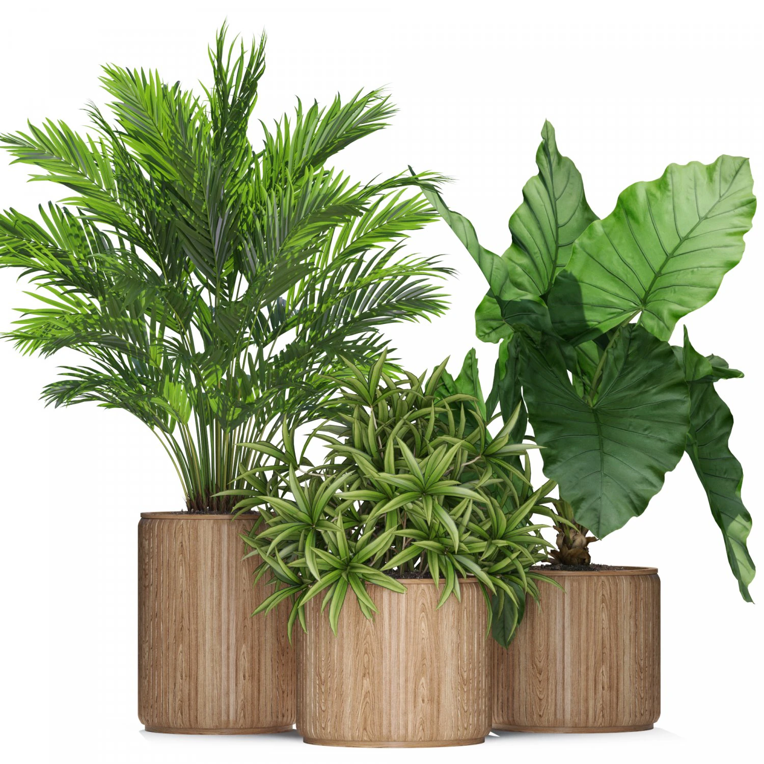 Plants collection 549 3D Model .c4d .max .obj .3ds .fbx .stl .blend 