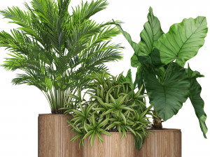 Plants collection 549 3D Model